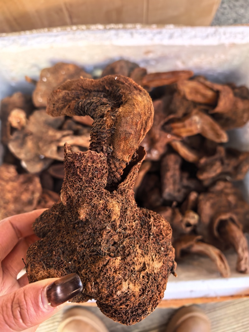 包邮续阳草回春草男性滋补泡酒料保质保量诚信经营