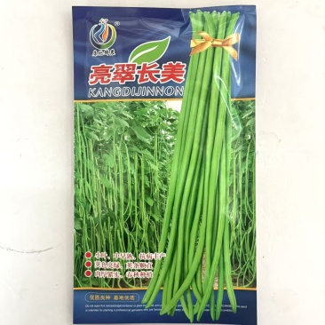 康地亮翠长美豇豆种子籽早中熟小叶长豆角春秋季厚肉四季豆小
