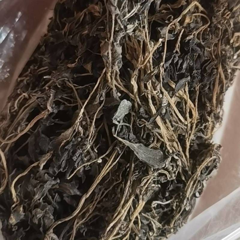 马齿苋干货
