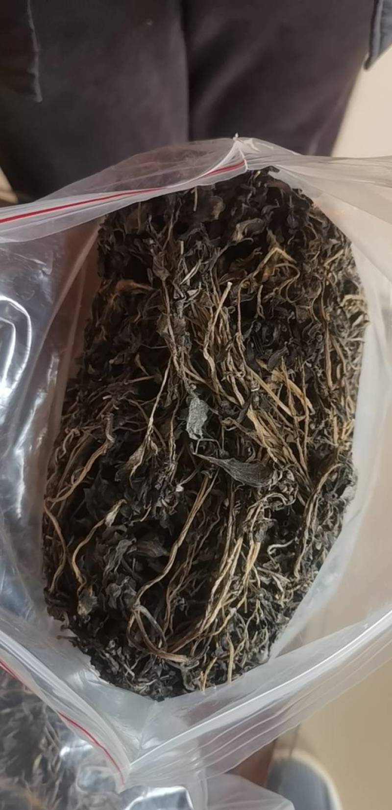 马齿苋干货