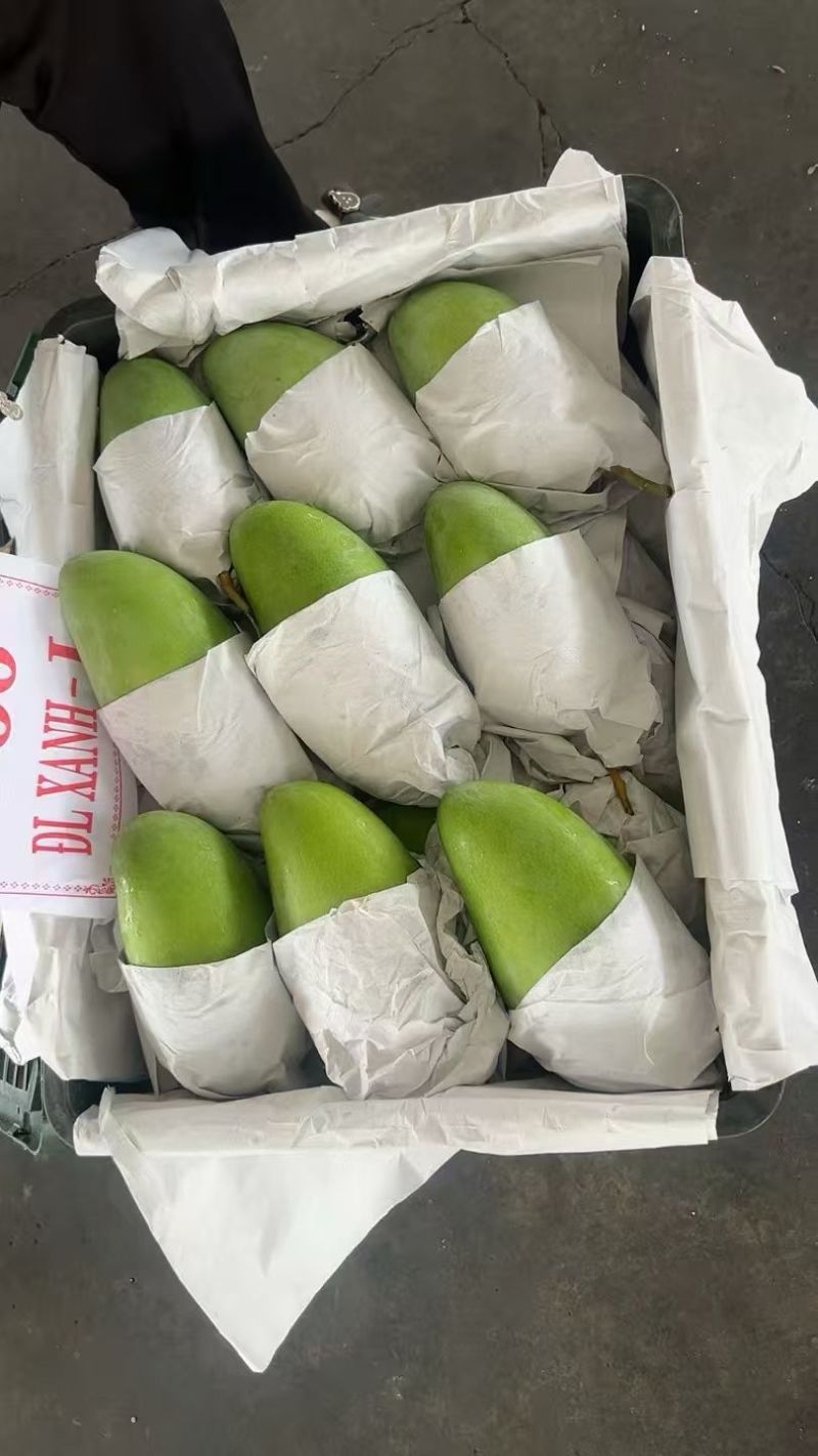 玉芒/大青芒/到岸/市场/团购/代发一件代发