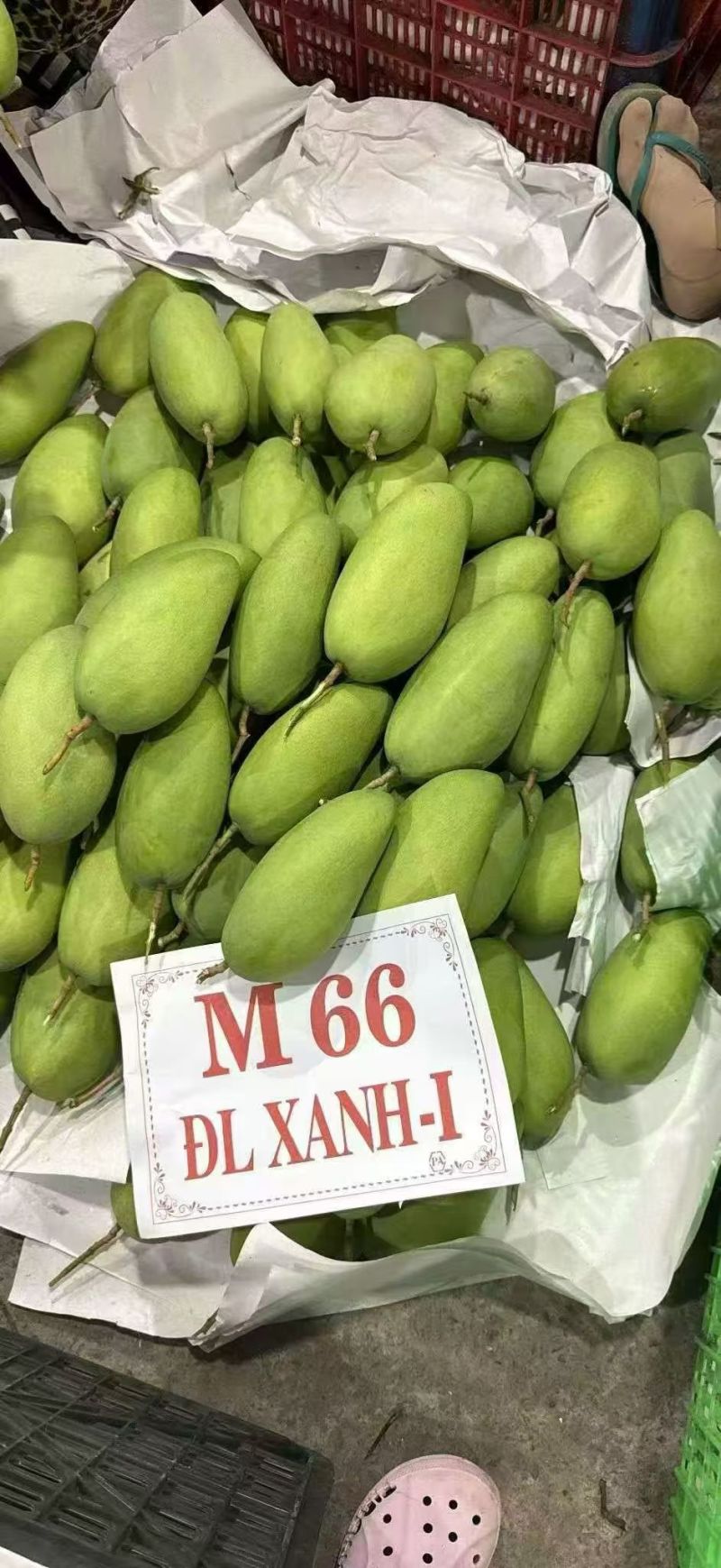 玉芒/大青芒/到岸/市场/团购/代发一件代发