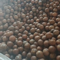 坚果干果特大夏果已锯好未加工生料余两万斤电商品