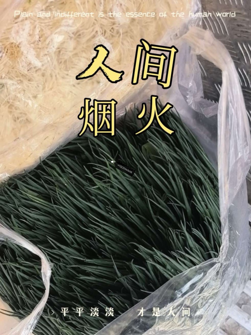 精品小葱