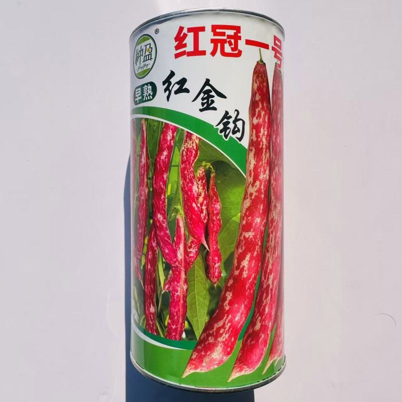 种盈红冠一号早熟红金钩豆角种子蔓生圆角肉厚肉质细腻春秋季