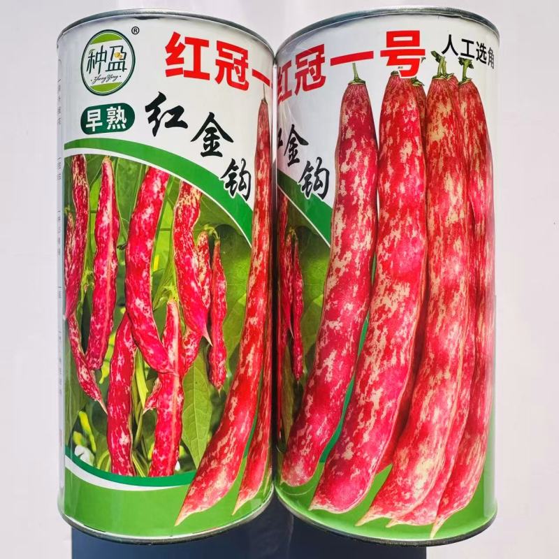 种盈红冠一号早熟红金钩豆角种子蔓生圆角肉厚肉质细腻春秋季