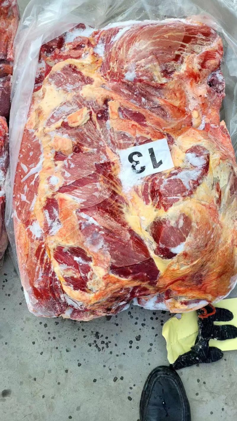 马肉批发