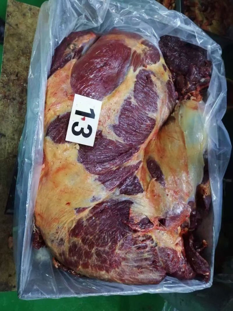 马肉批发