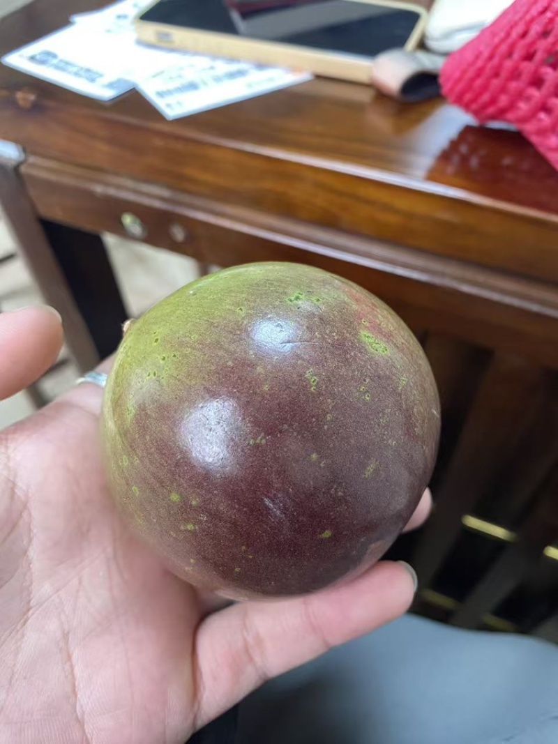 软糯香甜甜过初恋牛奶果，产地直销货源充足