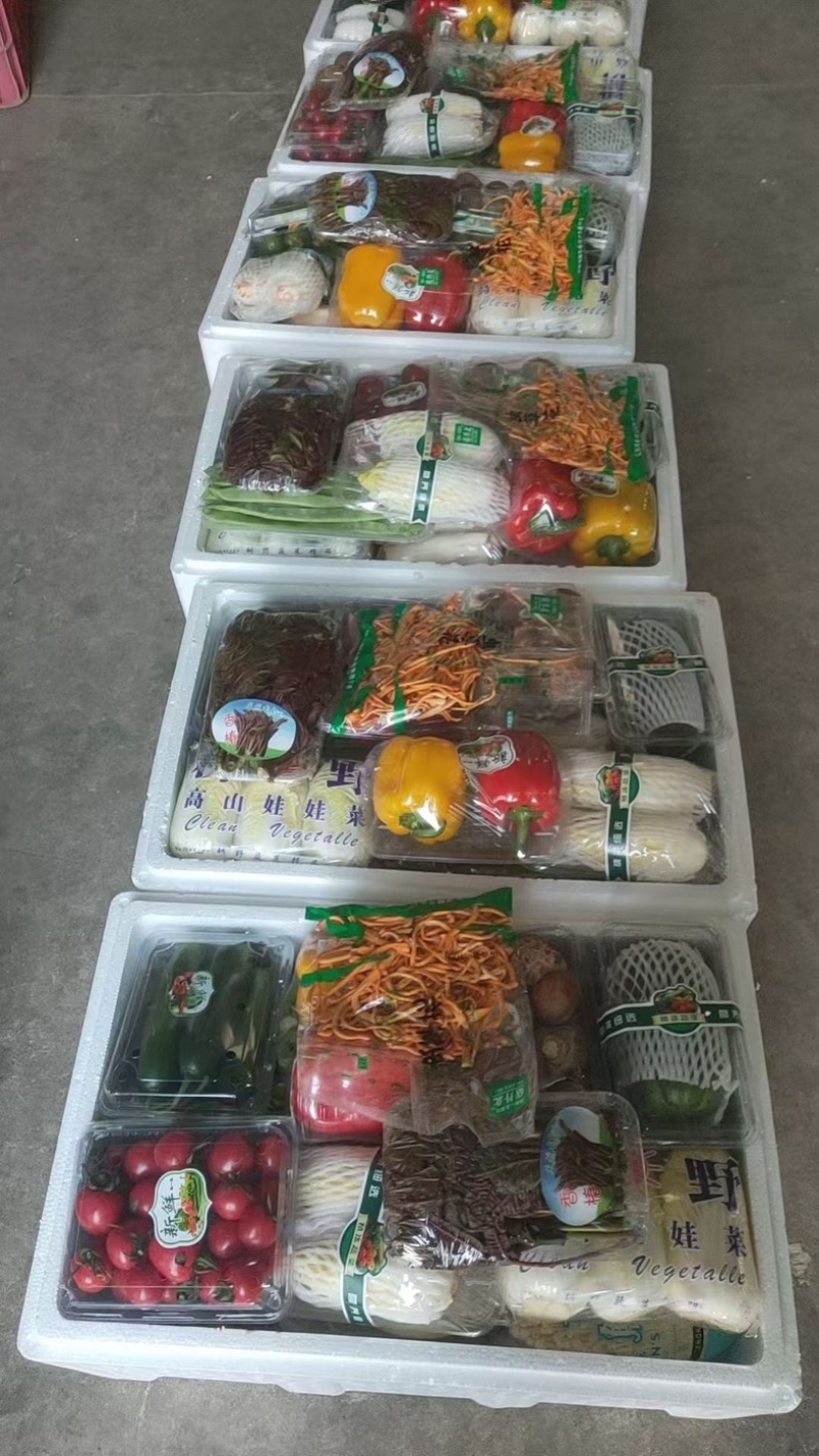 精品套菜26年新春蔬菜礼盒多规格对接全国客商