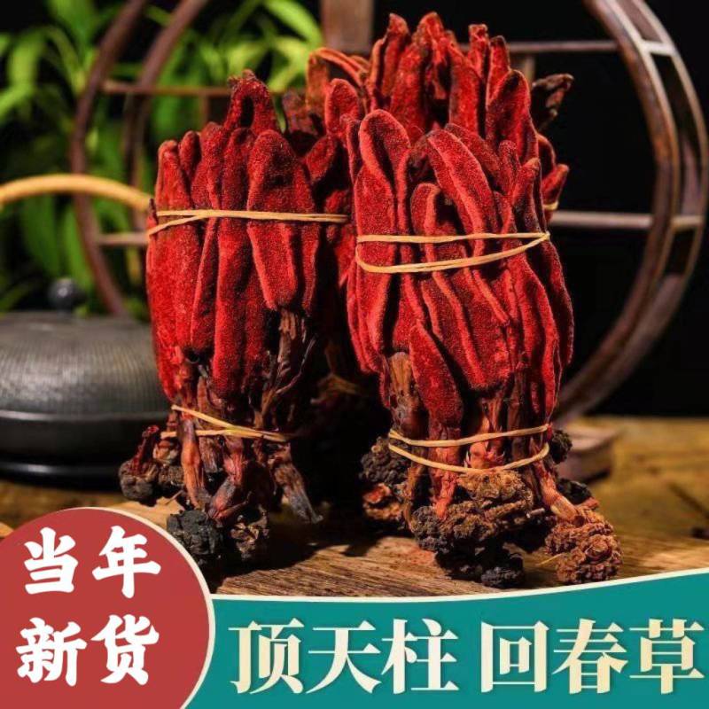 回春草泡酒泡茶批发零售保质保量