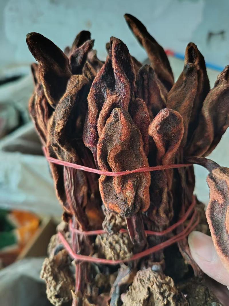 回春草泡酒泡茶批发零售保质保量