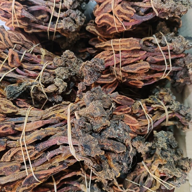回春草泡酒泡茶批发零售保质保量