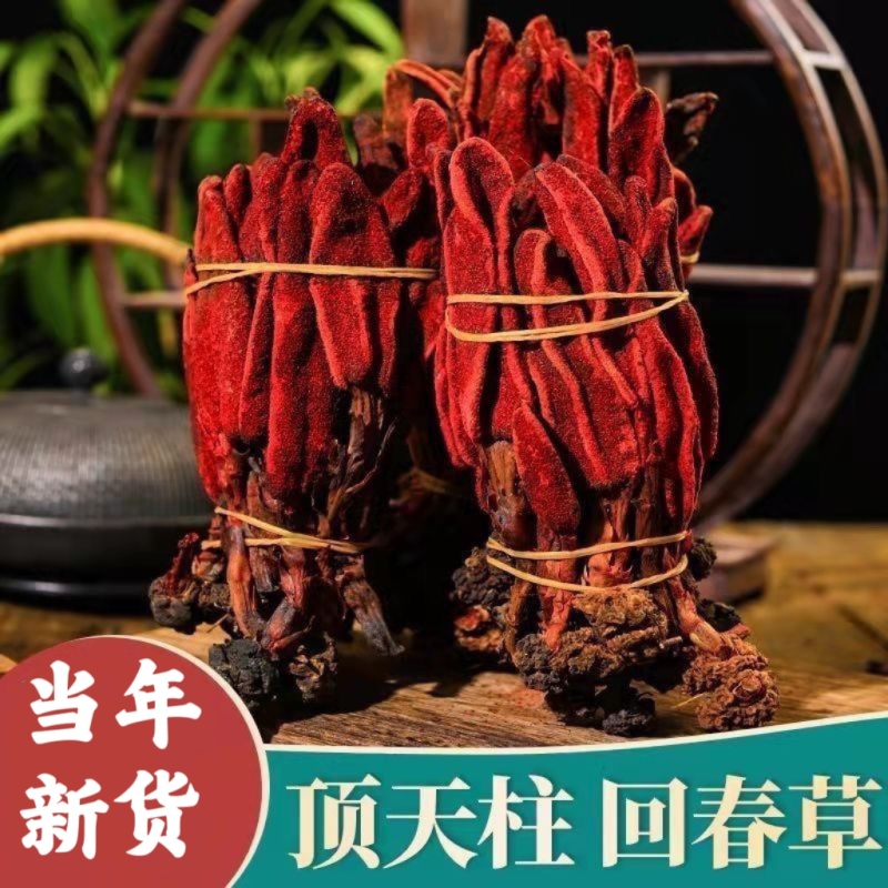 回春草泡酒泡茶批发零售保质保量