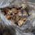 七河九号小菇，3--5电商，有厂房冷库可合作加工，代收代