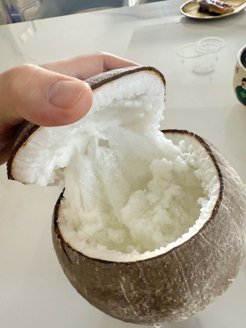 软软糯糯的糯米椰