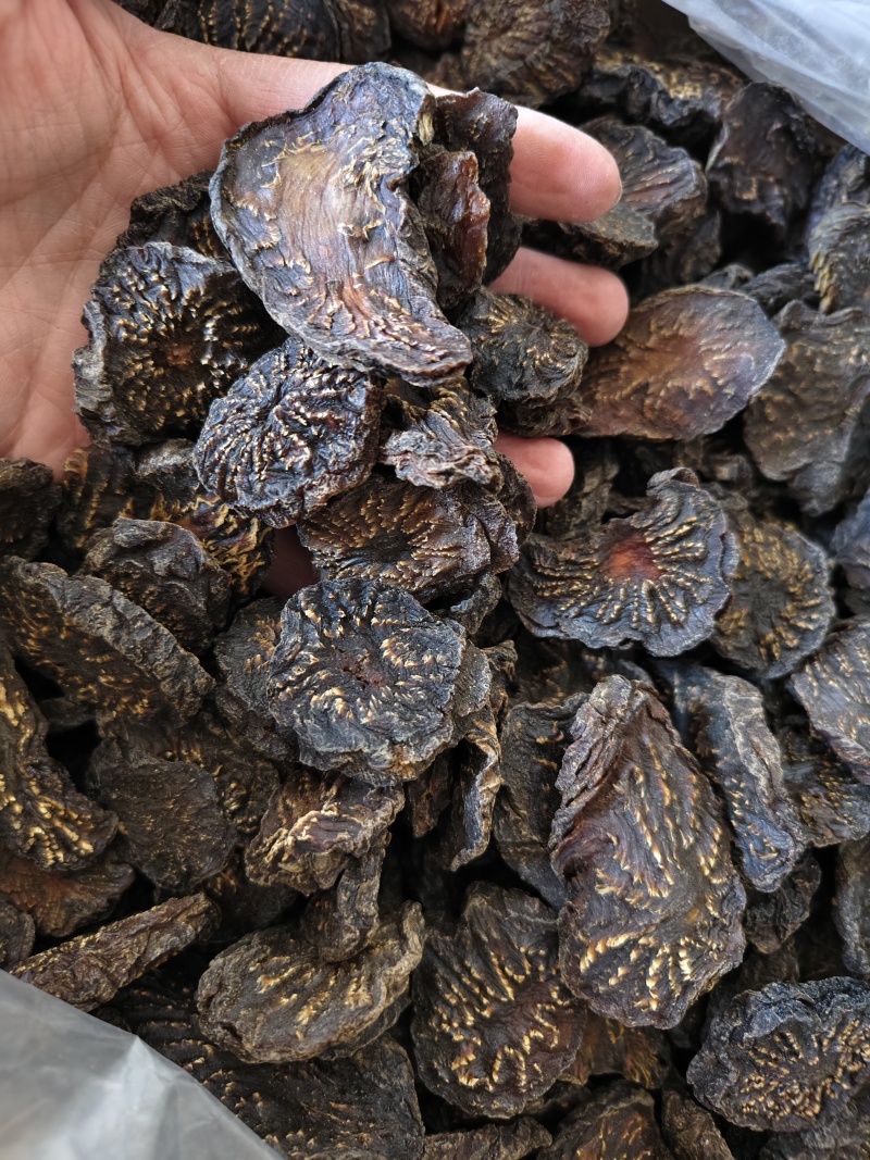 肉苁蓉鲜干片肉苁蓉切片规格齐全批发零售量大从优