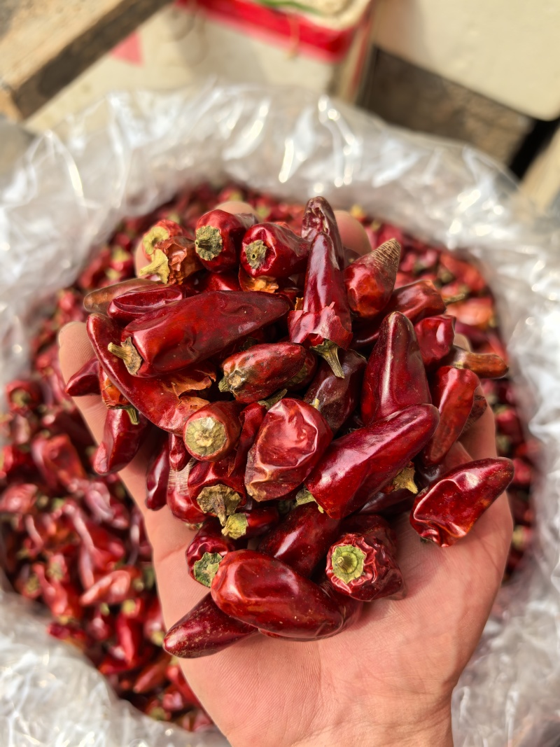 贵州子弹头辣椒/辣度高/香味好/干辣椒/好货/全国包邮