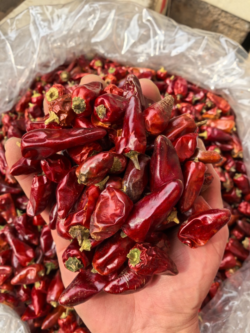 贵州子弹头辣椒/辣度高/香味好/干辣椒/好货/全国包邮