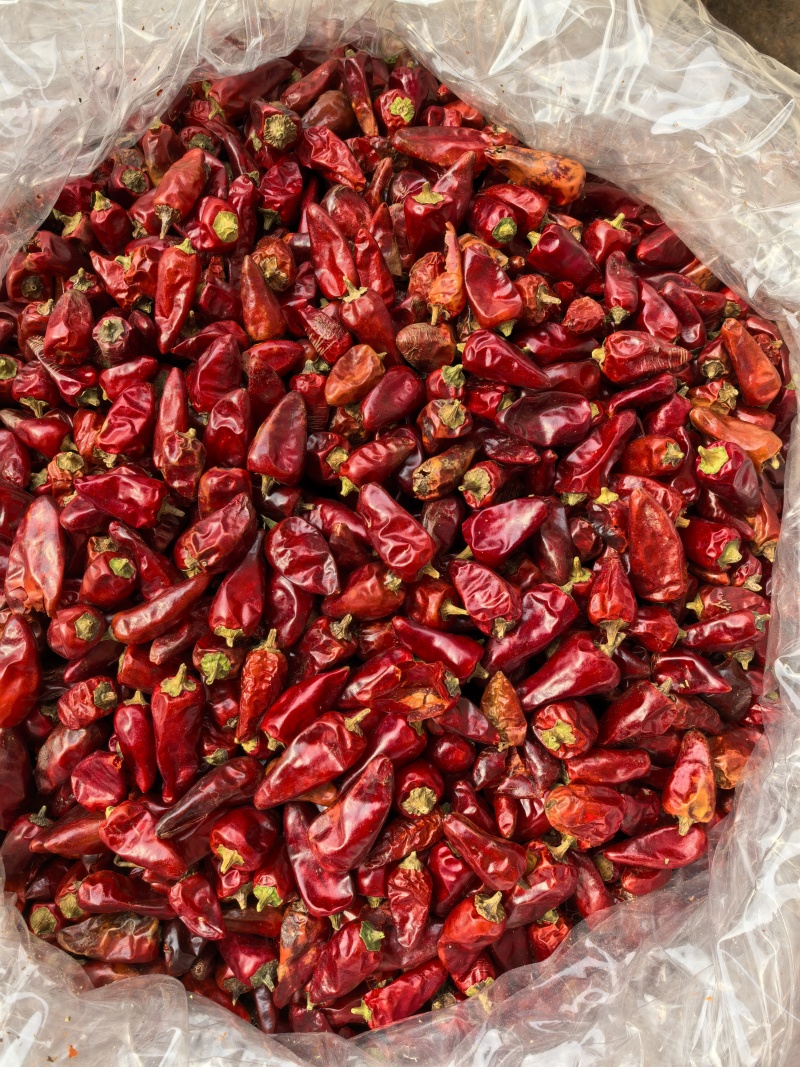 贵州子弹头辣椒/辣度高/香味好/干辣椒/好货/全国包邮