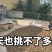 山茶油