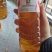 山茶油