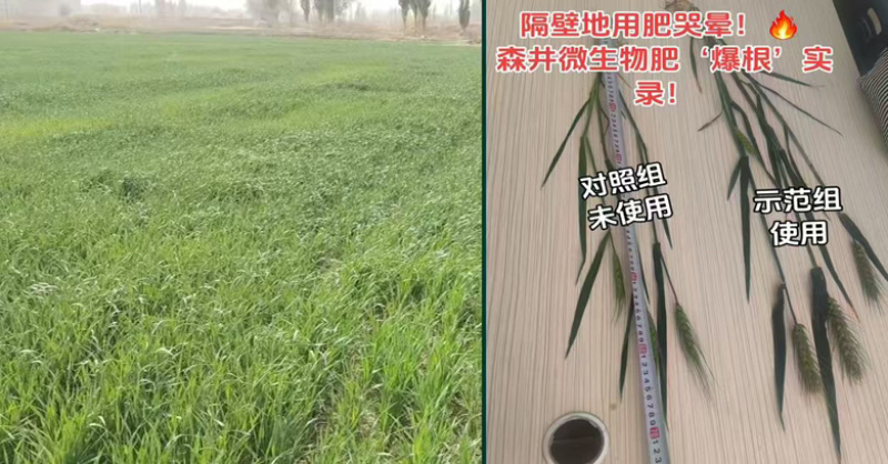 森井微生物水溶肥料欢迎老板随时进店咨询