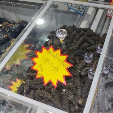 纯淡干辽参，淡干辽参