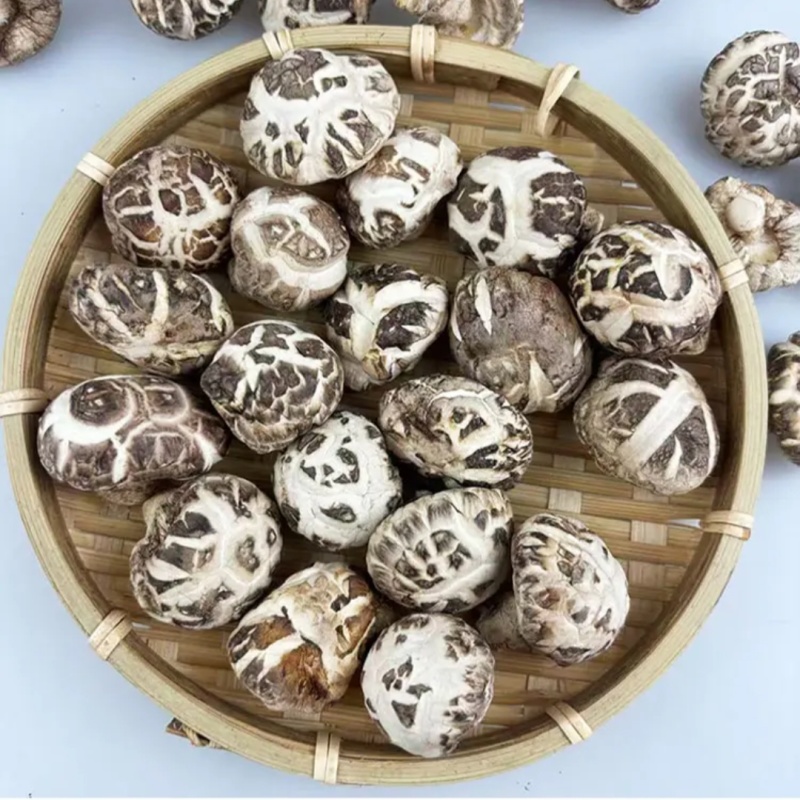 正宗椴木房县小花菇250g新鲜冬蘑菇神农架花菇土特产农家