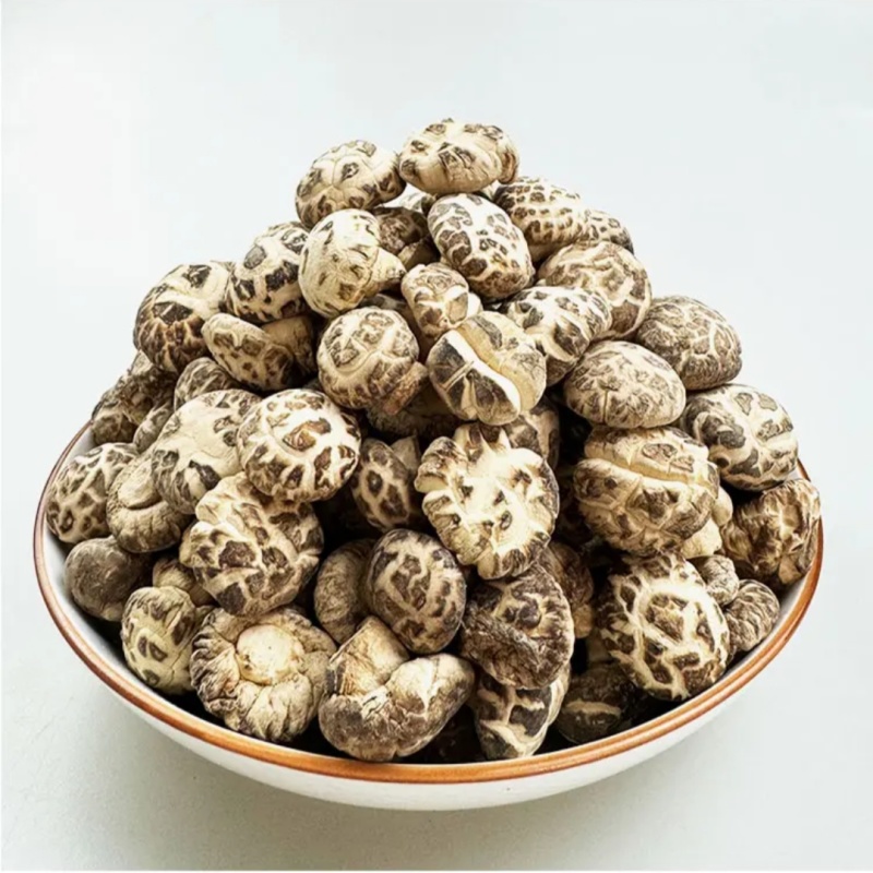 正宗椴木房县小花菇250g新鲜冬蘑菇神农架花菇土特产农家