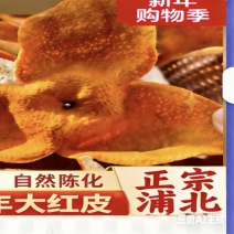 广西浦北大红皮茶枝柑2025【树龄25年左右】皮色漂亮