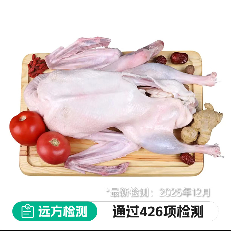 116项检测新鲜草原狮白鹅，180天