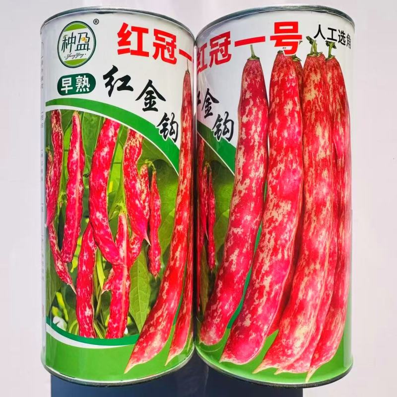 种盈红冠一号早熟红金钩豆角种子蔓生圆角肉厚肉质细腻春秋季
