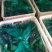 山东台儿庄765绿把长茄大量供应中，诚信经营，量大从优