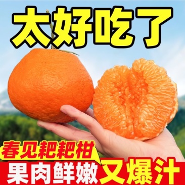 四川粑粑柑丑橘不知火一件代发对接各大电商平台日发3万单！