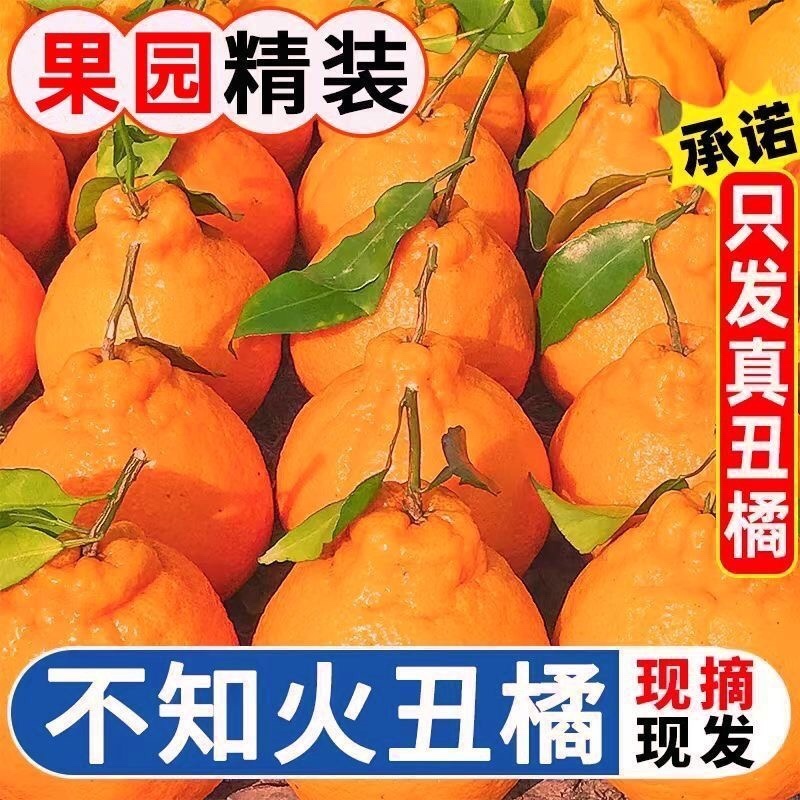 四川粑粑柑丑橘不知火一件代发对接各大电商平台日发3万单！