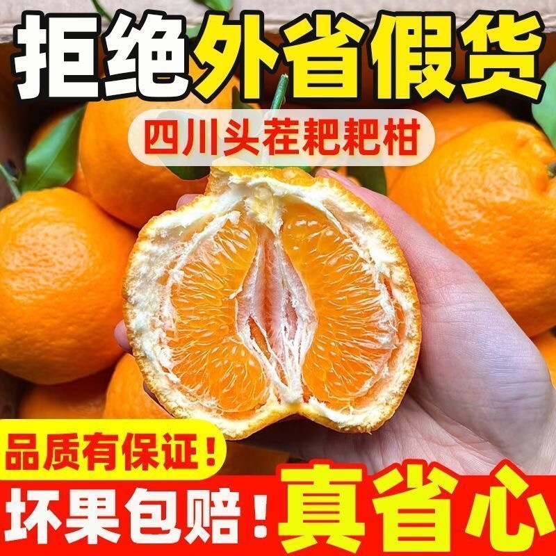 四川粑粑柑丑橘不知火一件代发对接各大电商平台日发3万单！