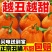 四川粑粑柑丑橘不知火一件代发对接各大电商平台日发3万单！