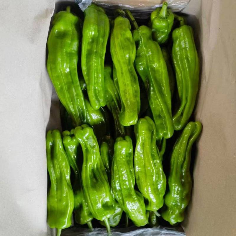 海南临高精品鲜辣椒，质量保证。
