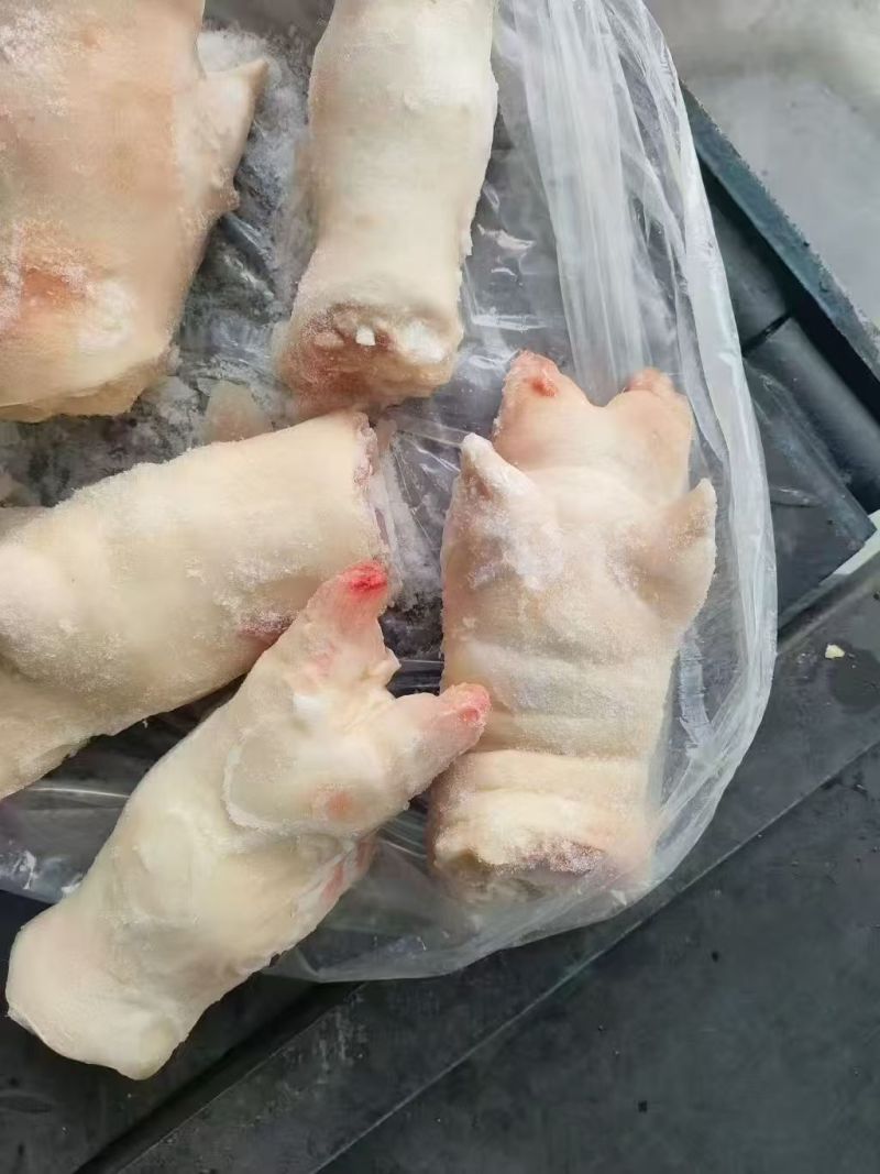 肥猪蹄调理蹄11-13个19500