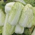 基地出售大白菜