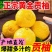 湖南怀化黄金贡柚象山青口感纯甜无酸汁水充足