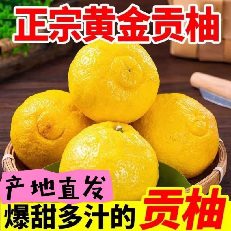 湖南怀化黄金贡柚象山青口感纯甜无酸汁水充足