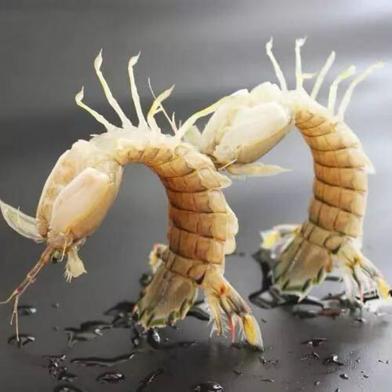 海鲜礼盒（高端定制）