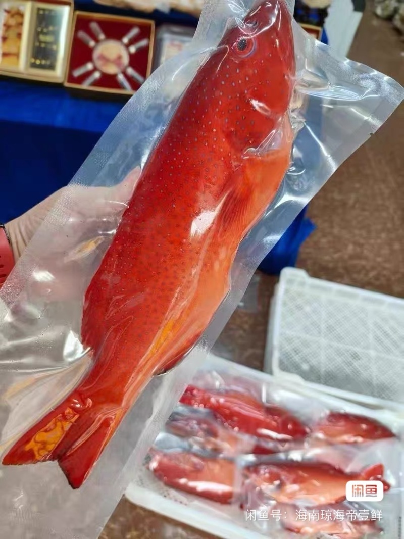 海鲜大礼包礼盒大礼盒，大宗商品批发价自由搭配