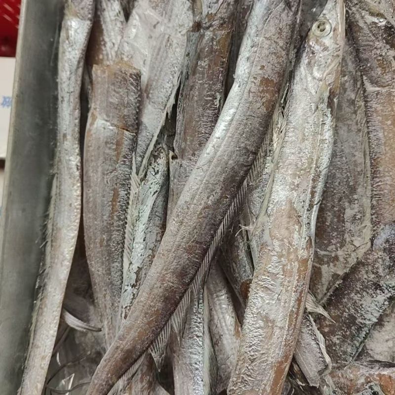 纯干带鱼