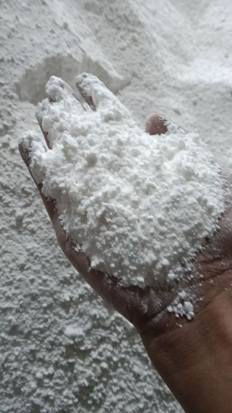 芭蕉芋旱藕高淀粉