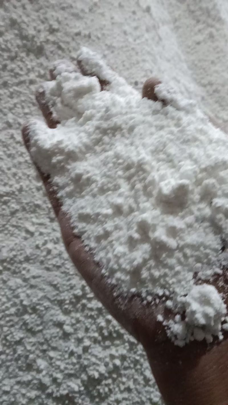 芭蕉芋旱藕高淀粉