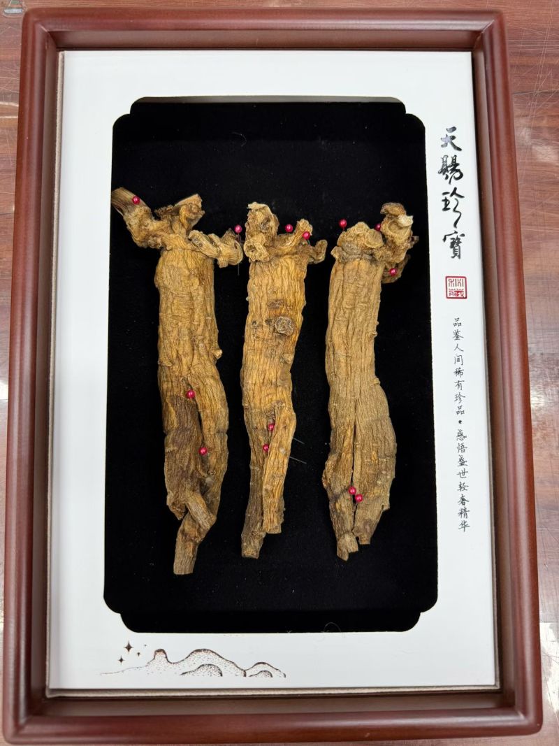 精品大枝条林下红