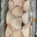 前肘，后肘，规格齐全